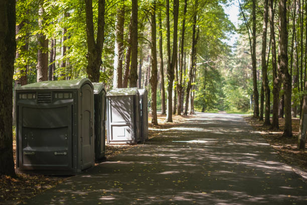 Portable Toilet Options We Offer in Wallenpaupack Lake Estates, PA